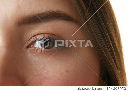 Close-up photo of woman's eye, highlighting well-defined eyebrow, long eyelashes, and smooth skin. Close-up photo of woman's eye, highlighting well-defined eyebrow, long eyelashes, and smooth skin. 114802950