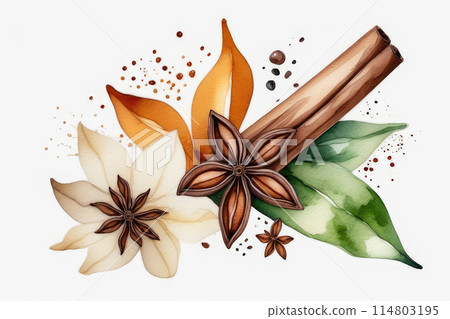 Vanilla spices, sticks and vanilla flowers on white background in watercolor style. 114803195