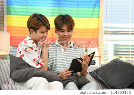 Smiling young gay couple having fun browsing internet on couch at home 114803300