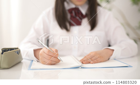 學校女生學習 學校女生學習 114803320