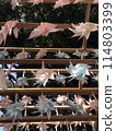 Shrine Windmill Festival 114803399