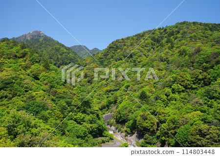 鮮綠的御在所山【從三重縣菰野町湯野山鴨鹿大橋眺望】 114803448