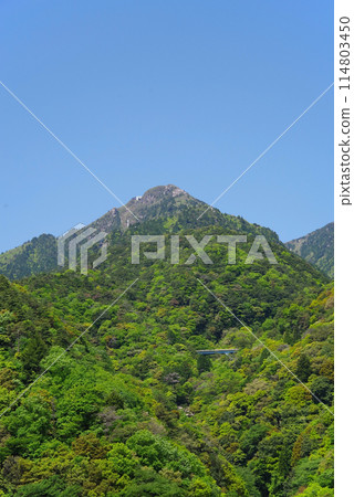 鮮綠的御在所山【從三重縣菰野町湯野山鴨鹿大橋眺望】 114803450