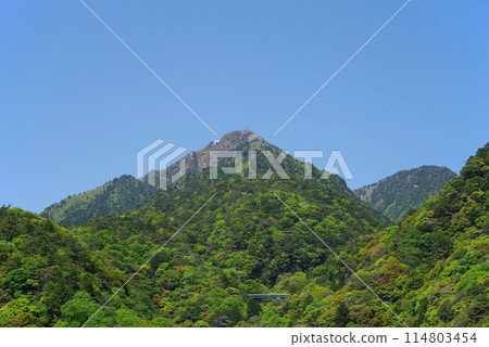 Fresh greenery on Mt. Gozaisho [View from Yunoyama Kamoshika Bridge, Komono Town, Mie Prefecture] 114803454