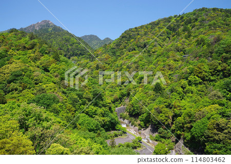 從鴨鹿大橋(三重縣菰野町)眺望禦在勝嶽山麓和湯之山的新綠。 從鴨鹿大橋(三重縣菰野町)眺望禦在勝嶽山麓和湯之山的新綠。 114803462
