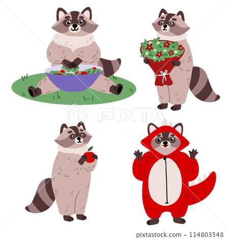 Cute cartoon raccoon set. Raccoon with Dexterous Front Paws and Ringed Tail. Emotion little raccoon. Cartoon animal character design. 114803548