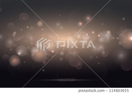 Dust light. Bokeh light lights effect background. Sparkling golden particles. Christmas background from shining dust. 114803655