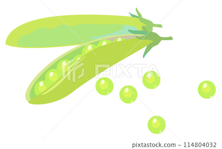 芸豆的插圖 114804032