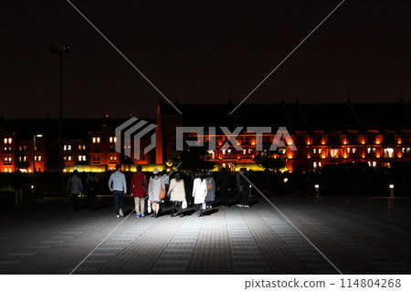 Red bricks and park lights at night 114804268