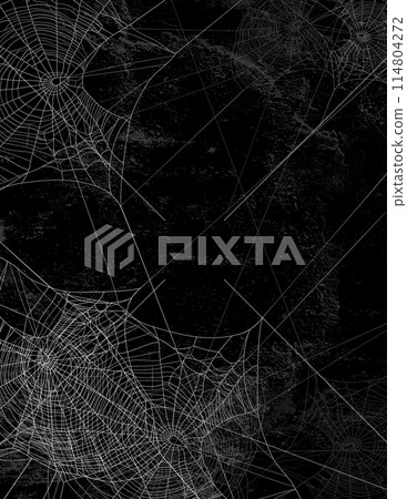 vector copy space background with empty spider web silhouettes against black wall vector copy space background with empty spider web silhouettes against black wall 114804272