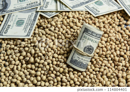 Dollars banknotes and coins and soy beans,oleaginous commoditi value concept. 114804401