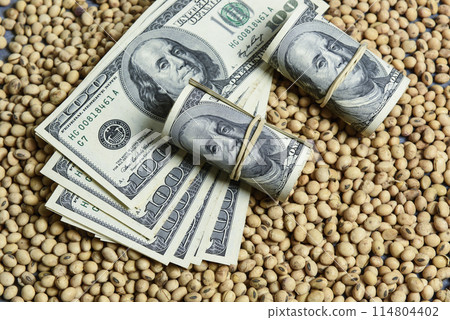 Dollars banknotes and coins and soy beans,oleaginous commoditi value concept. 114804402