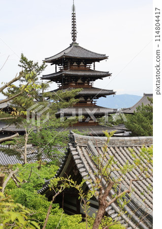從奈良縣生駒郡斑鳩町法隆寺境內五層塔西端遠眺 從奈良縣生駒郡斑鳩町法隆寺境內五層塔西端遠眺 114804417
