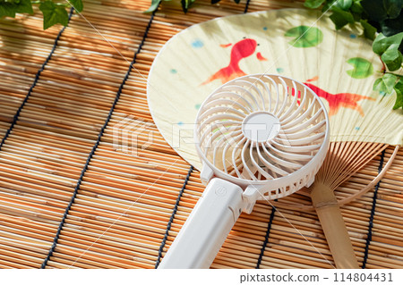 Portable fans and hand fans 114804431