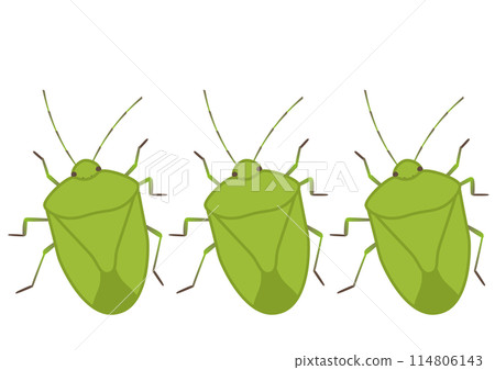 Vector illustration of three cute stink bugs dancing together Vector illustration of three cute stink bugs dancing together 114806143