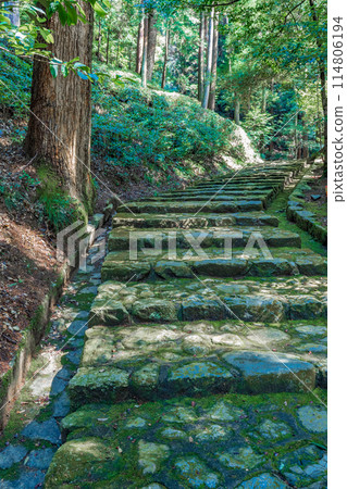 大阪府河內長野市第97代後村上天皇檜陵的參道 114806194