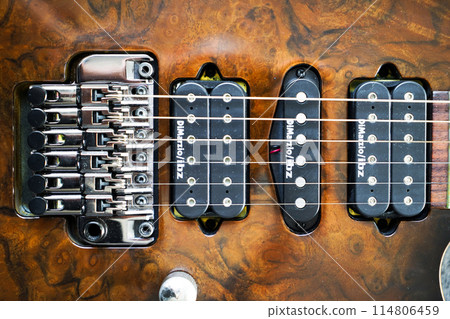 Electric guitar bridge, strings and pickup, detail close-up view of guitar pickup in wood walnut Electric guitar bridge, strings and pickup, detail close-up view of guitar pickup in wood walnut 114806459