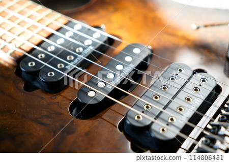 Electric guitar bridge, strings and pickup, detail close-up view of guitar pickup in wood walnut Electric guitar bridge, strings and pickup, detail close-up view of guitar pickup in wood walnut 114806481