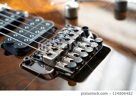 Electric guitar bridge, strings and pickup, detail close-up view of guitar pickup in wood walnut 114806482