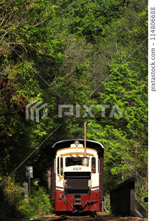 Nagano Prefecture_A forest railway trolley train running through the fresh greenery of Akasawa Natural Recreation Forest_Photo taken on May 2, 2023 Nagano Prefecture_A forest railway trolley train running through the fresh greenery of Akasawa Natural Recreation Forest_Photo taken on May 2, 2023 114806688