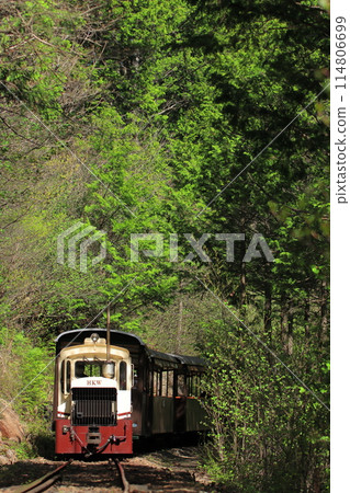 Nagano Prefecture_A forest railway trolley train running through the fresh greenery of Akasawa Natural Recreation Forest_Photo taken on May 2, 2023 114806699