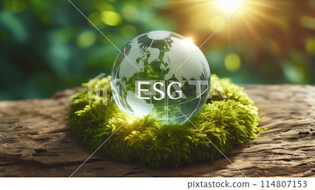 Crystal globe placed on moss. ESG icon. Concept for environment. Society and Governance sustainable 114807153