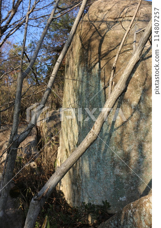 Hiroshima Prefecture, Fukuyama City, Amatsuiwaseki Hiroshima Prefecture, Fukuyama City, Amatsuiwaseki 114807257