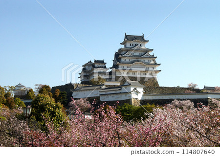 日本城堡姬路城 - 櫻花盛開的春天風景 日本城堡姬路城 - 櫻花盛開的春天風景 114807640