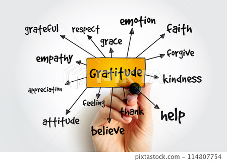 Gratitude mind map, concept for presentations and reports Gratitude mind map, concept for presentations and reports 114807754
