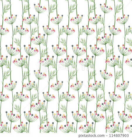 Hand drawn watercolor wildflowers seamless pattern isolated on white background. Can be used for fabric, wrapping, textile and other printed products. 114807903
