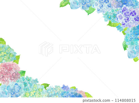 June hydrangea background painted with watercolors 114808015