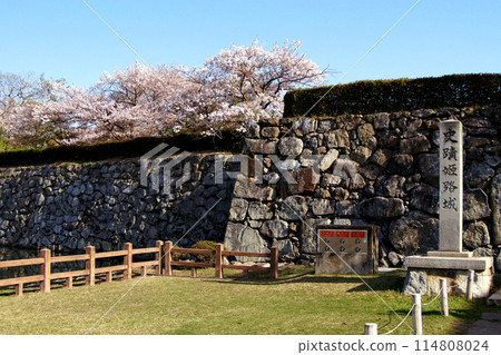 Himeji Castle, a Japanese castle: Spring scenery decorated with cherry blossoms in full bloom Himeji Castle, a Japanese castle: Spring scenery decorated with cherry blossoms in full bloom 114808024