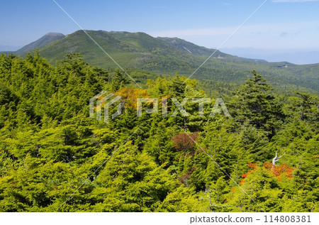 Chausuyama and Shimakareyama as seen from Takamiishi in the northern Yatsugatake mountains 114808381