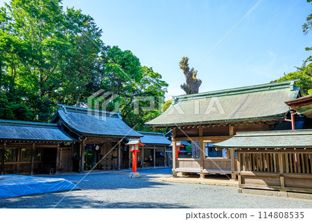 Early summer at Munakata Taisha Shrine, Nakatsumiya, Oshima, Munakata City, Fukuoka Prefecture 114808535