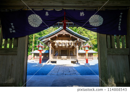 Early summer at Munakata Taisha Shrine, Nakatsumiya, Oshima, Munakata City, Fukuoka Prefecture 114808543