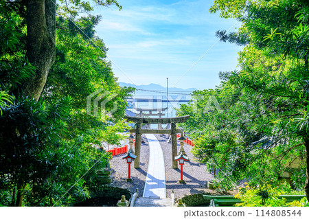 初夏的宗像大社 福岡縣宗像市中津宮大島 114808544