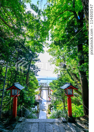 Early summer at Munakata Taisha Shrine, Nakatsumiya, Oshima, Munakata City, Fukuoka Prefecture 114808547