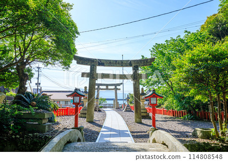 Early summer at Munakata Taisha Shrine, Nakatsumiya, Oshima, Munakata City, Fukuoka Prefecture 114808548