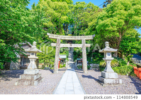 初夏的宗像大社 福岡縣宗像市中津宮大島 初夏的宗像大社 福岡縣宗像市中津宮大島 114808549