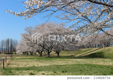 Katsuyama Castle 114808710