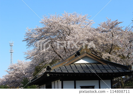 Katsuyama Castle 114808711
