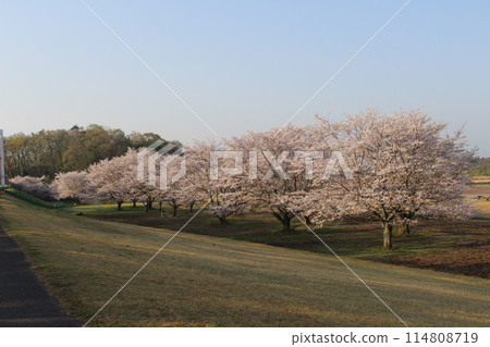 Katsuyama Castle 114808719