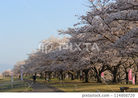 Katsuyama Castle Katsuyama Castle 114808720