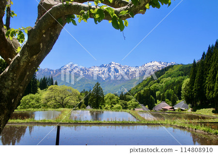 北阿爾卑斯山梯田青二村(長野縣白馬村) 北阿爾卑斯山梯田青二村(長野縣白馬村) 114808910