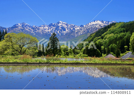 北阿爾卑斯山梯田青二村（長野縣白馬村） 114808911