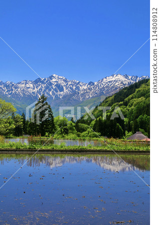 Aooni Village, Rice Terraces, and the Northern Alps (Hakuba Village, Nagano Prefecture) 114808912