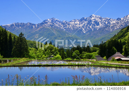 Aooni Village, Rice Terraces, and the Northern Alps (Hakuba Village, Nagano Prefecture) 114808916