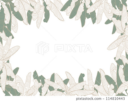 Tropical line art leaves frame, banana leaf vector background 114810443