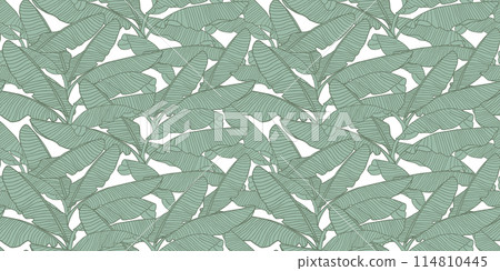 Tropical leaves seamless pattern, banana leaf vector background 114810445