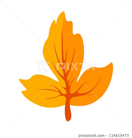 Orange leaf on white background 114810473
